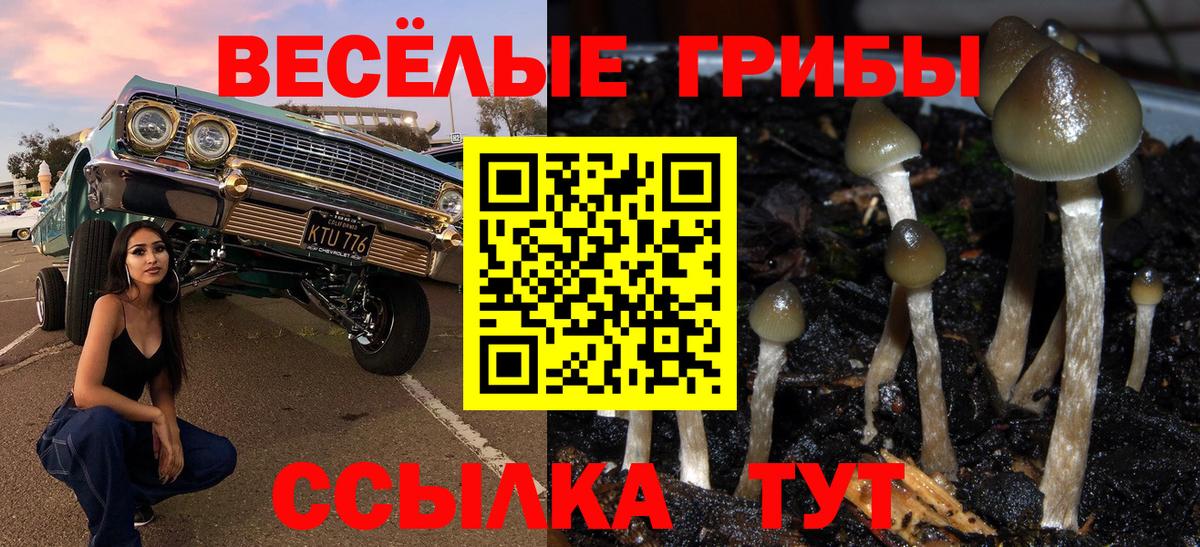 Псилоцибиновые грибы GOLDEN TEACHER Тайшет