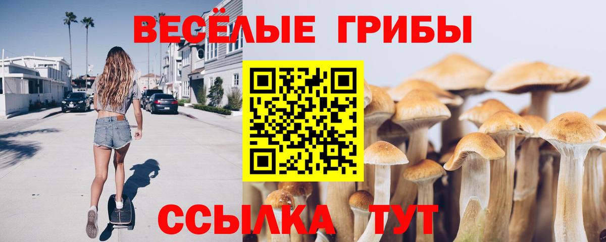 Галлюциногенные грибы Psilocybe  Галлюциногенные грибы мицелий  Вход с VPN  наркота  Тайшет 