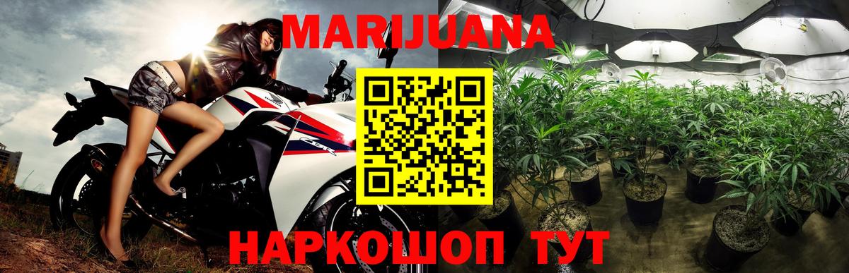 Бошки марихуана тримм  Вход с VPN  МАРИХУАНА тримм  Шишки марихуана планчик  Тайшет 